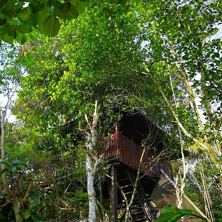 Greens Tree House & Wood House Sultan Bathery Exterior photo