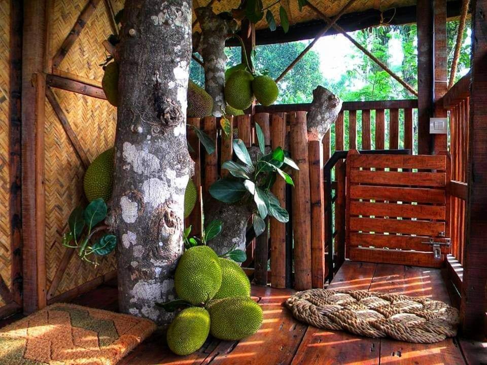 Greens Tree House & Wood House Sultan Bathery Exterior photo