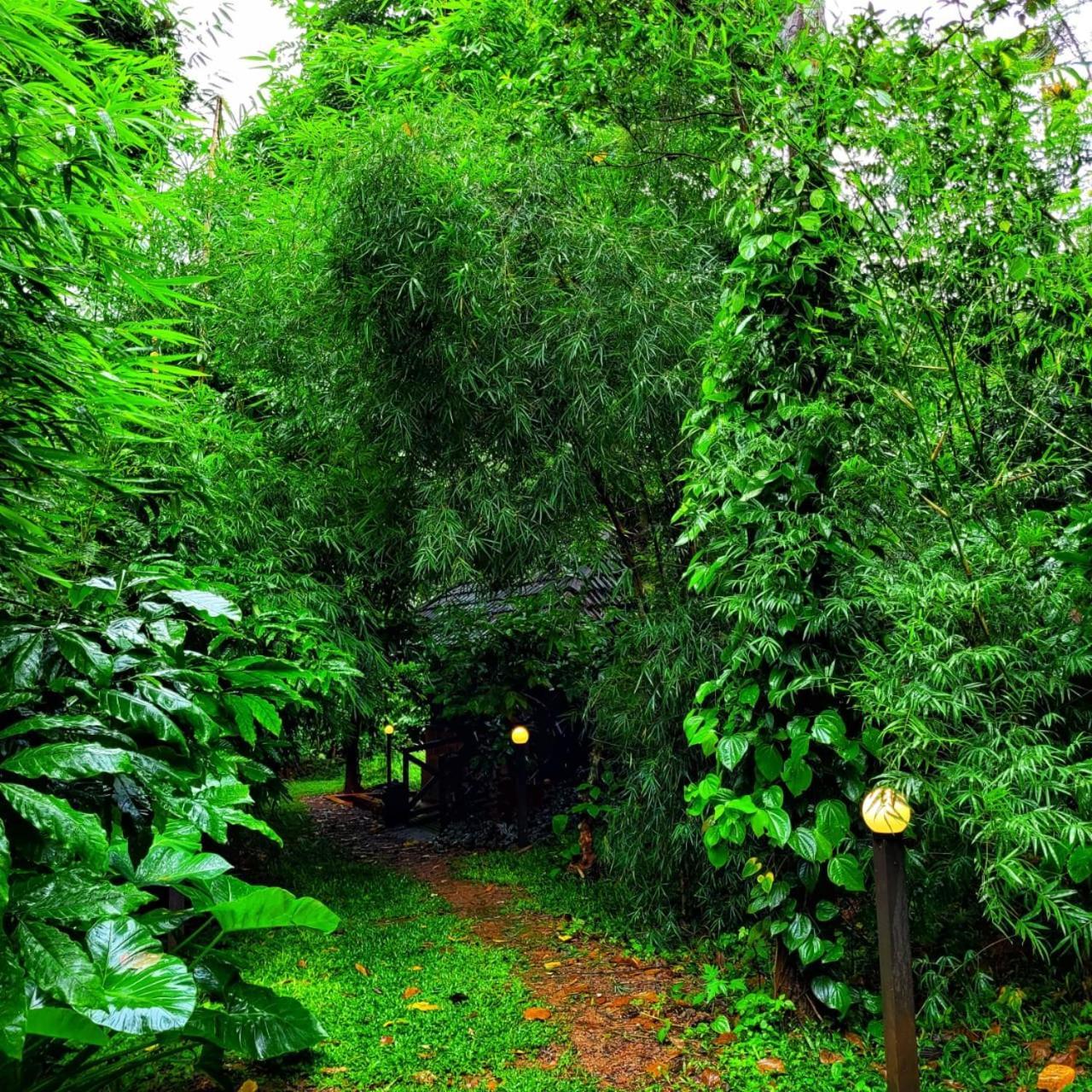 Greens Tree House & Wood House Sultan Bathery Exterior photo