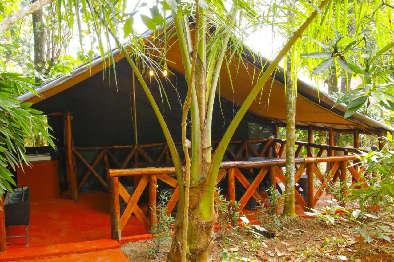 Greens Tree House & Wood House Sultan Bathery Exterior photo