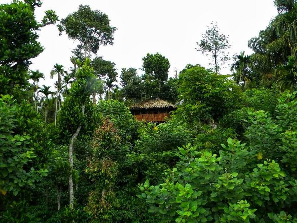 Greens Tree House & Wood House Sultan Bathery Exterior photo