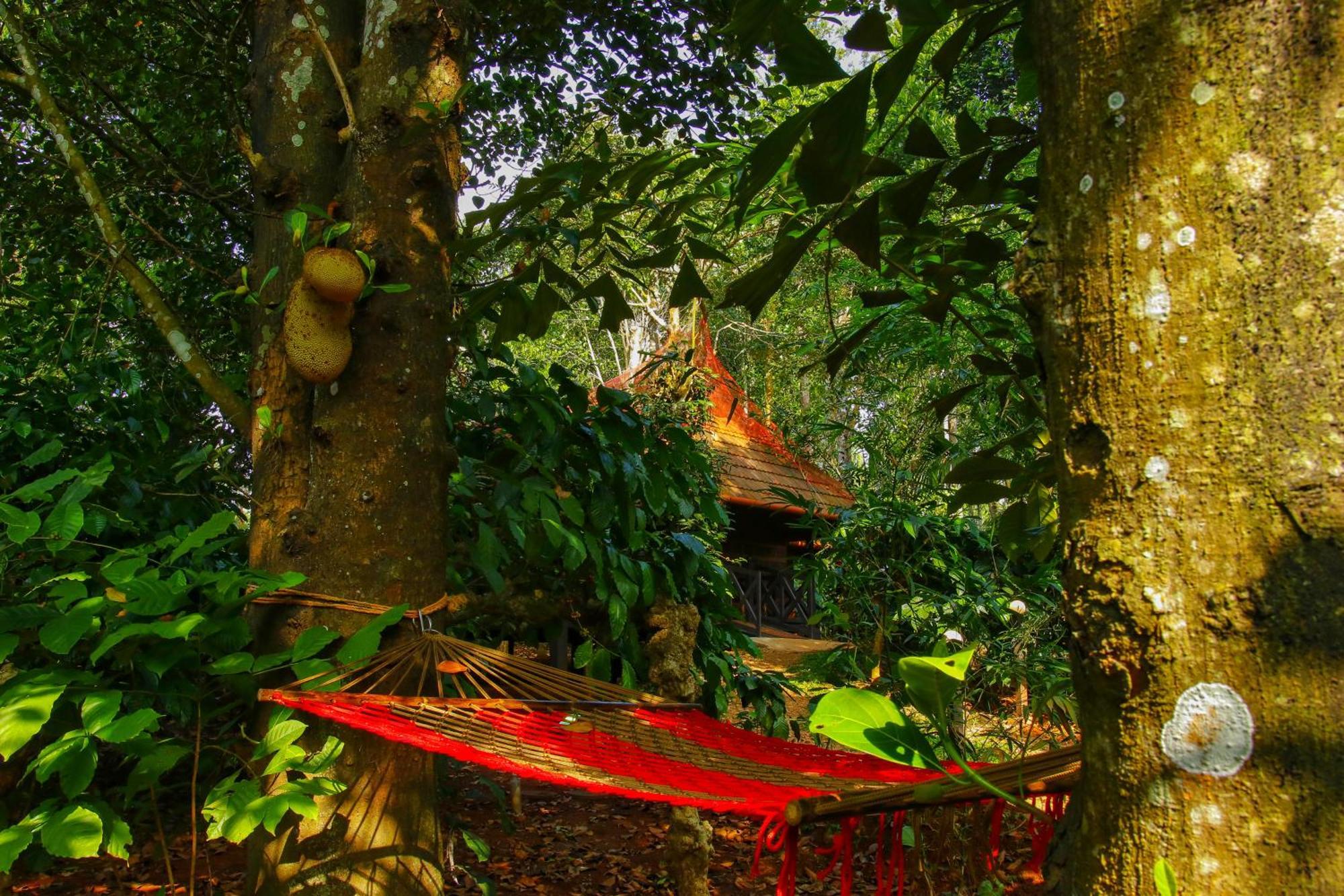 Greens Tree House & Wood House Sultan Bathery Exterior photo