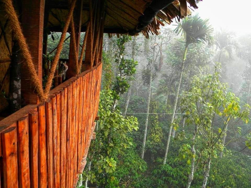 Greens Tree House & Wood House Sultan Bathery Exterior photo
