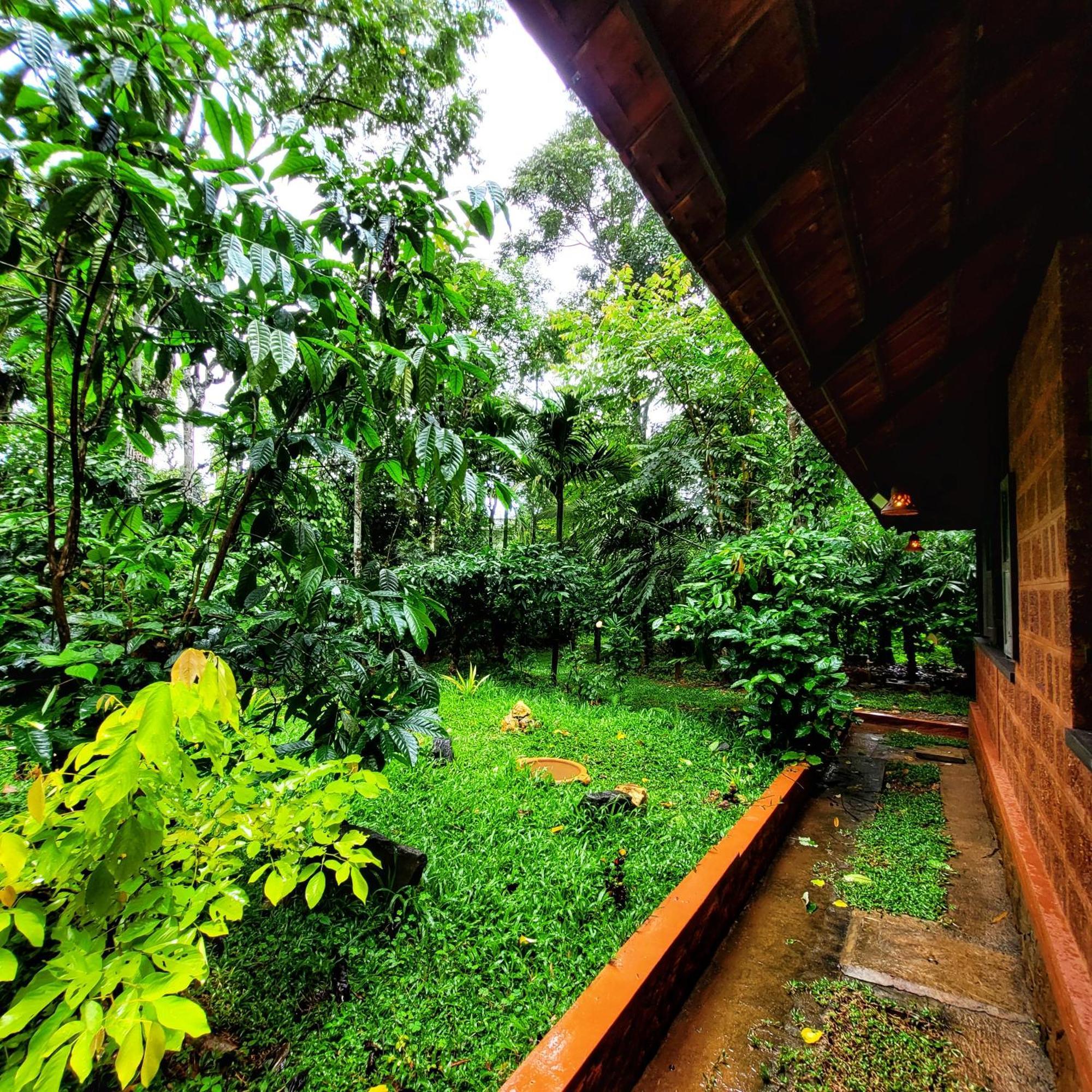 Greens Tree House & Wood House Sultan Bathery Exterior photo