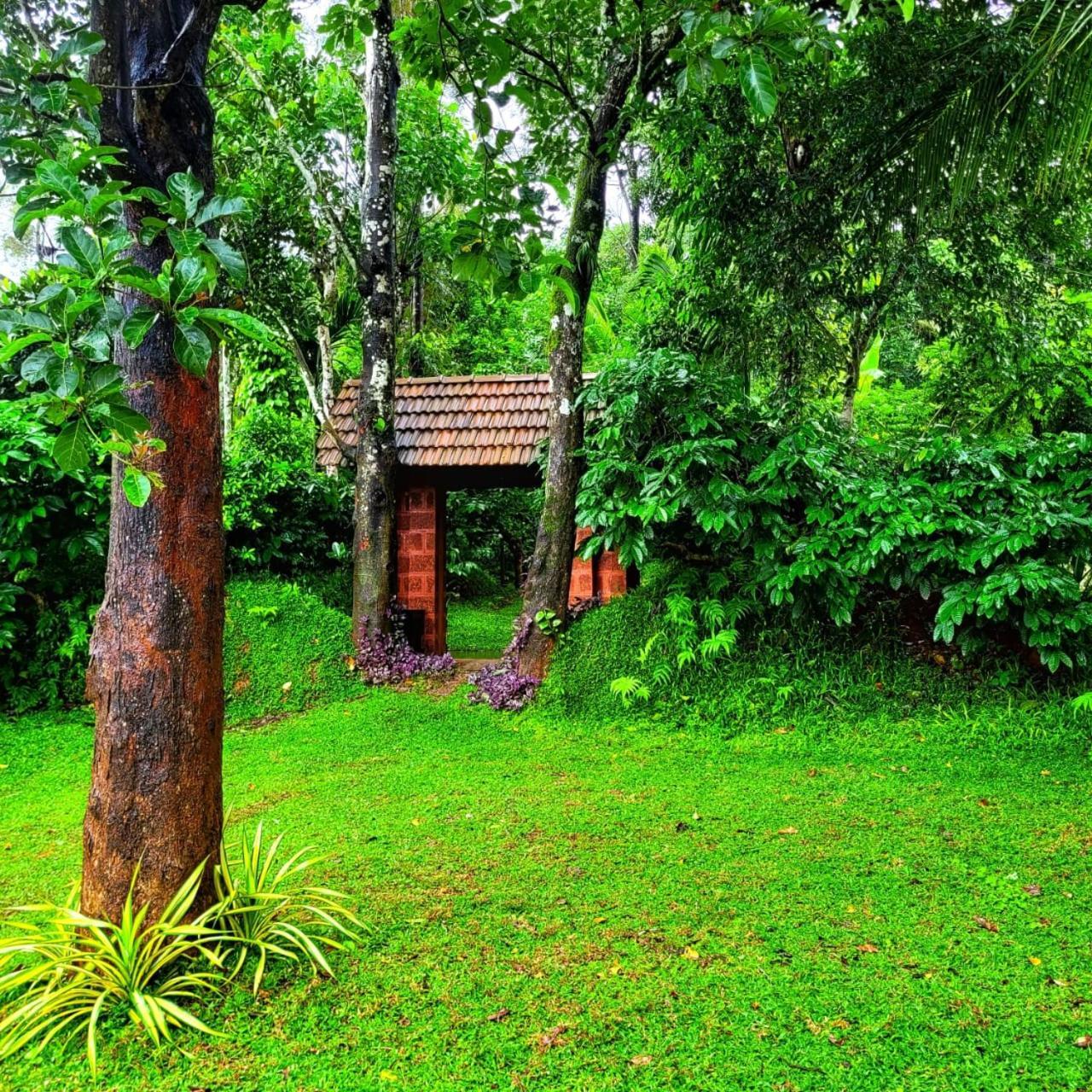Greens Tree House & Wood House Sultan Bathery Exterior photo
