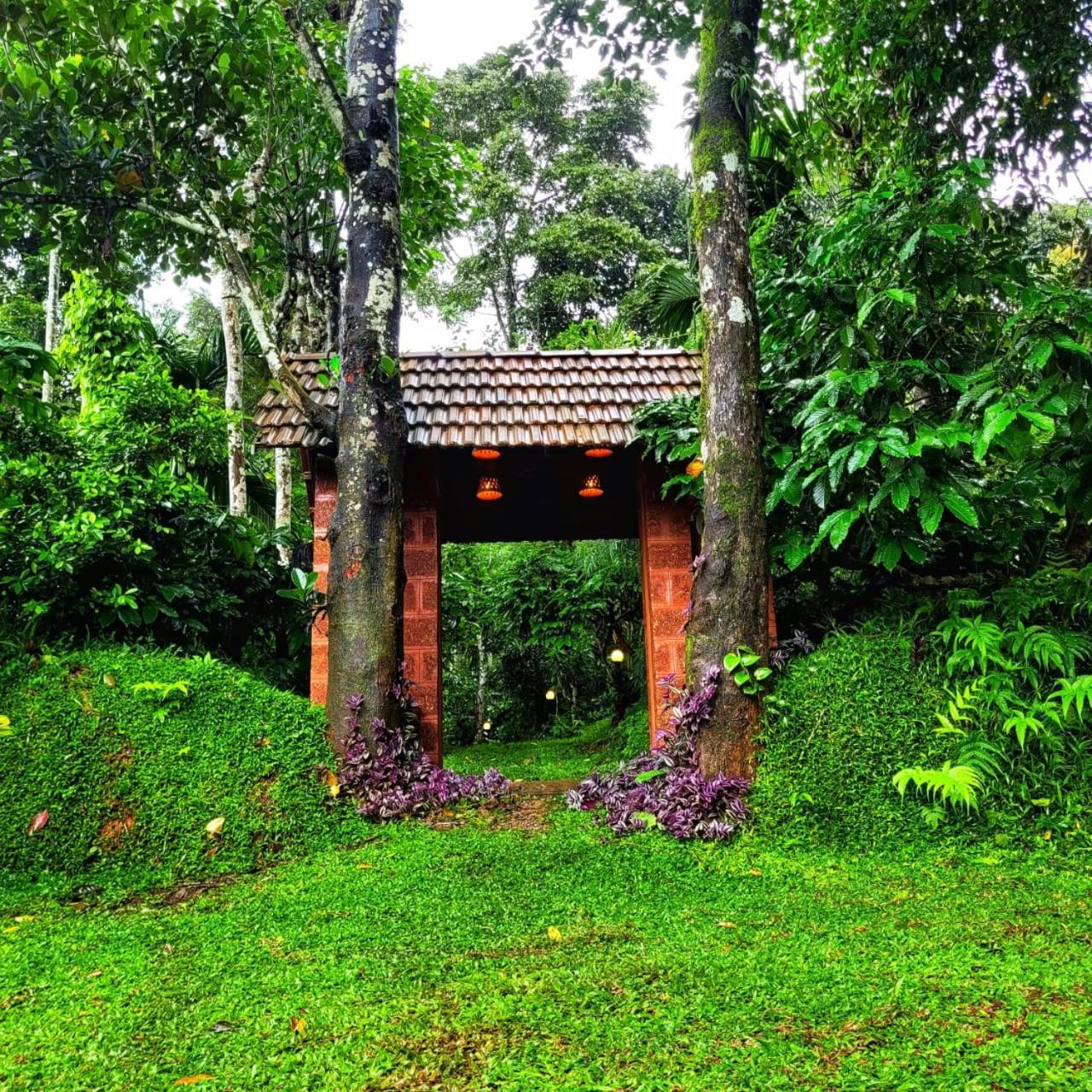 Greens Tree House & Wood House Sultan Bathery Exterior photo