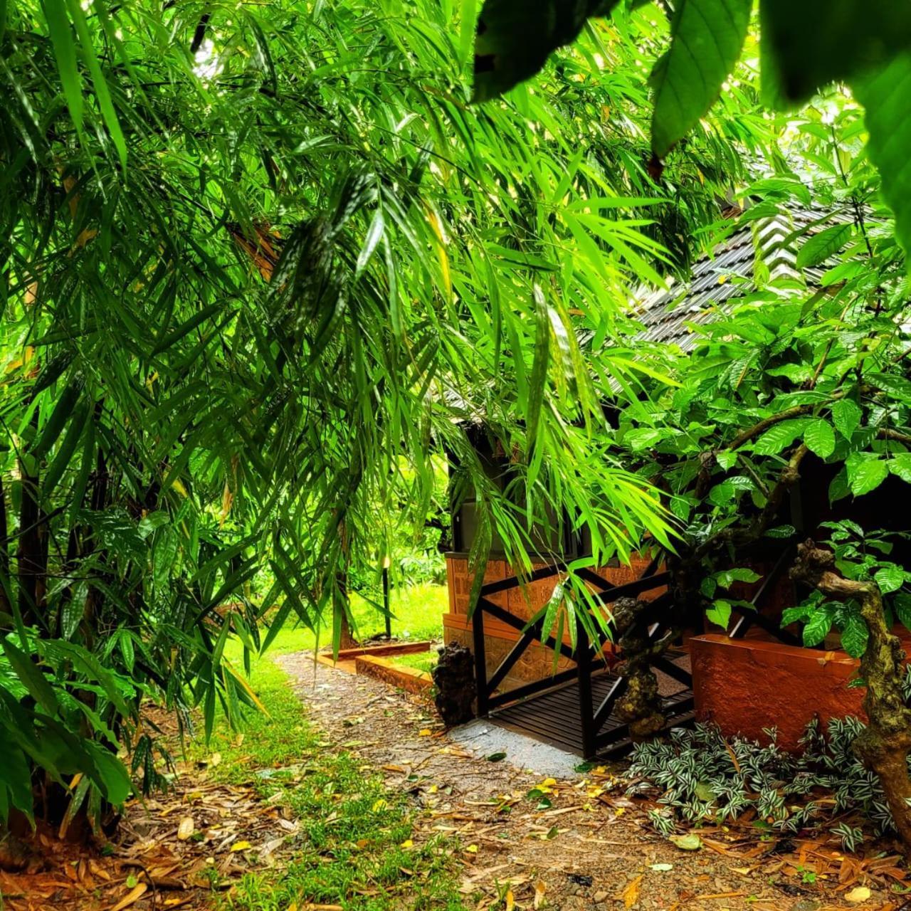 Greens Tree House & Wood House Sultan Bathery Exterior photo