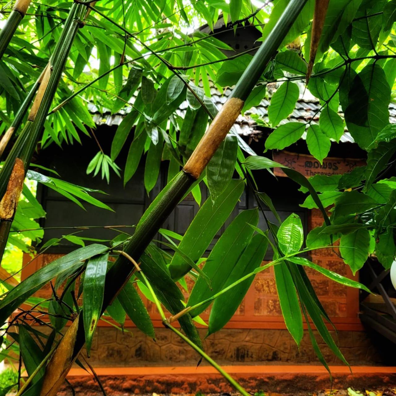 Greens Tree House & Wood House Sultan Bathery Exterior photo